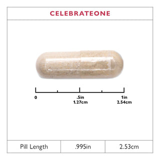 CelebrateONE Bariatric One A Day Multivitamin Capsules, Ferro Gratis 